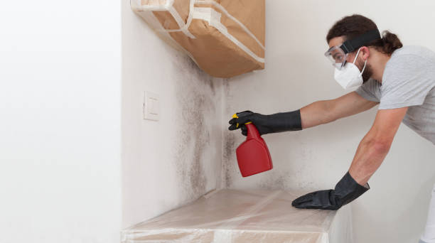 Professional Bathroom Mold Removal technician working in Four Oaks, NC