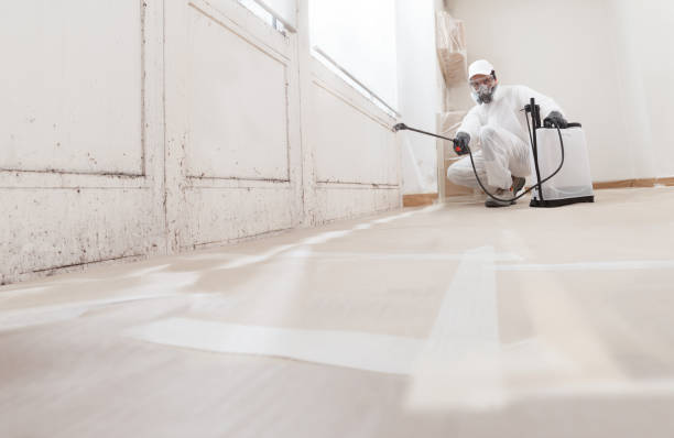 24/7 Emergency Bathroom Mold Removal experts in Four Oaks, NC