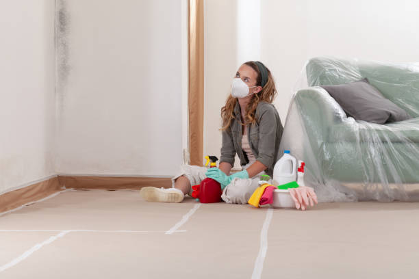 Reliable Bathroom Mold Removal contractor in Four Oaks, NC by Mold Remediation HQ