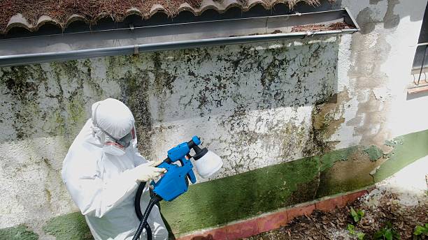 Top rated local Bathroom Mold Removal specialists in Four Oaks, NC